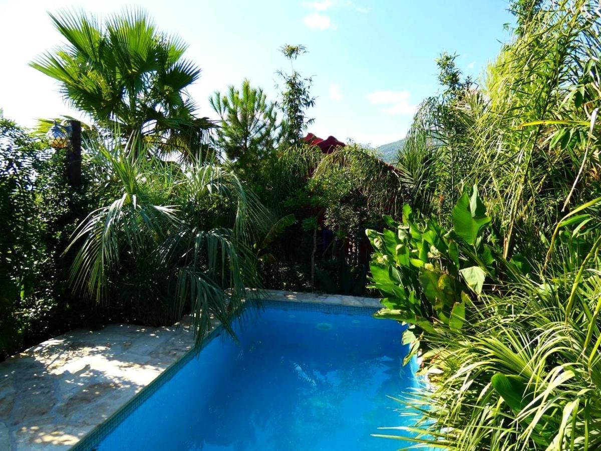 Villa Tropica, Total Privacy, Tropical Garden And Private Pool Каштела Экстерьер фото