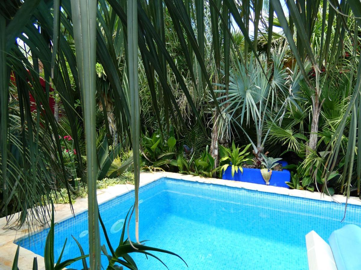 Villa Tropica, Total Privacy, Tropical Garden And Private Pool Каштела Экстерьер фото